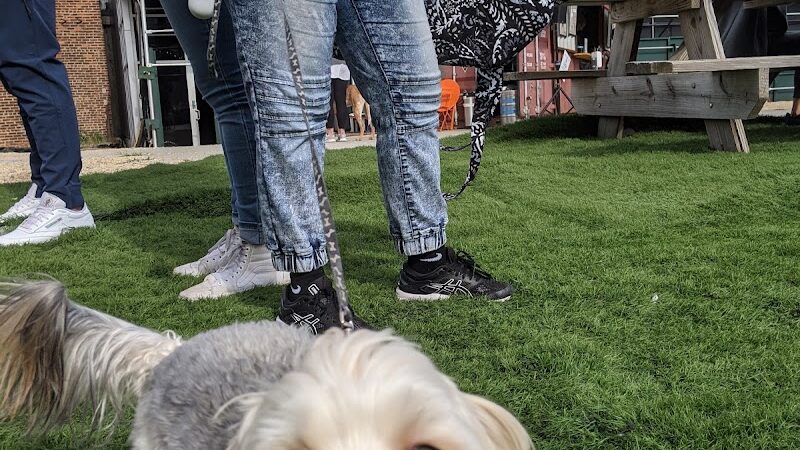 Bark Park - Brooklyn, NY