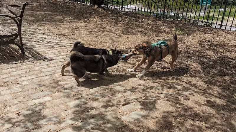 Cobble Hill Dog Park - Brooklyn, NY