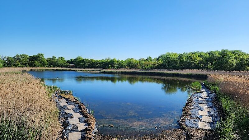Highland Park - Brooklyn, NY