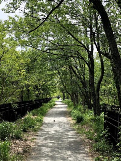 Highland Park - Brooklyn, NY