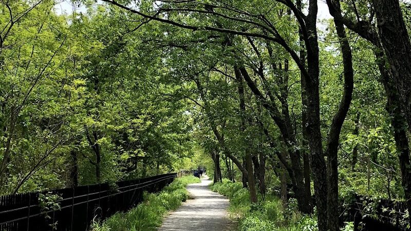 Highland Park - Brooklyn, NY