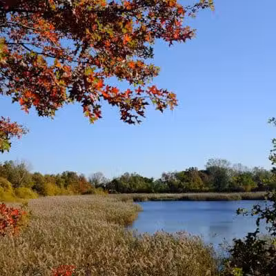 Highland Park - Brooklyn, NY