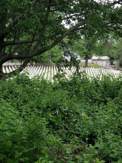 Highland Park - Brooklyn, NY