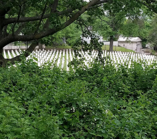 Highland Park - Brooklyn, NY