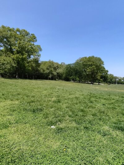 Highland Park - Brooklyn, NY