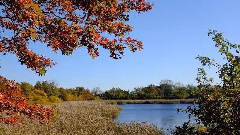 Highland Park - Brooklyn, NY