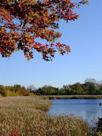 Highland Park - Brooklyn, NY