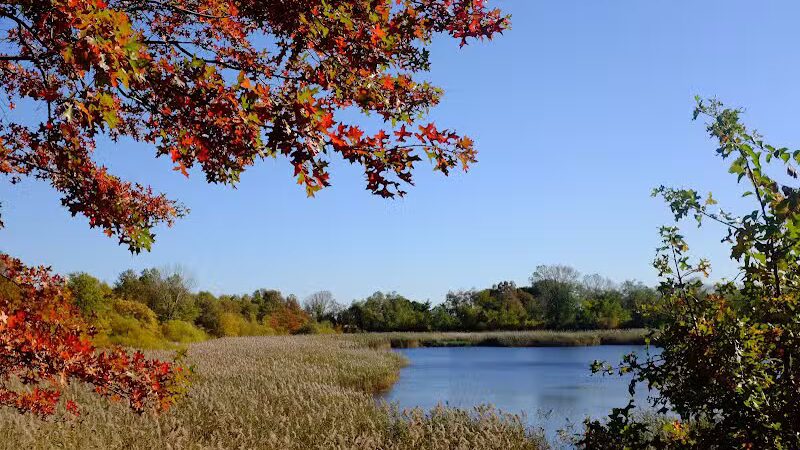 Highland Park - Brooklyn, NY