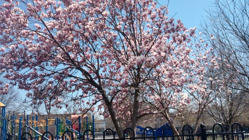 Maria Hernandez Park - Brooklyn, NY
