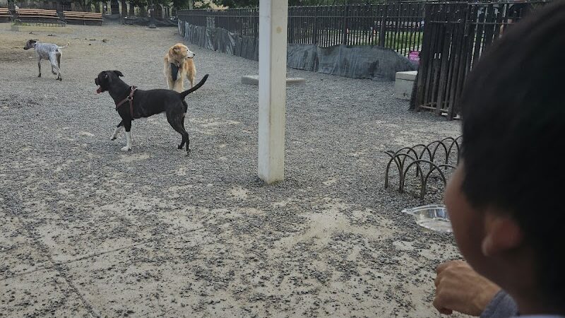 Maria Hernandez Park Dog Run - Brooklyn, NY
