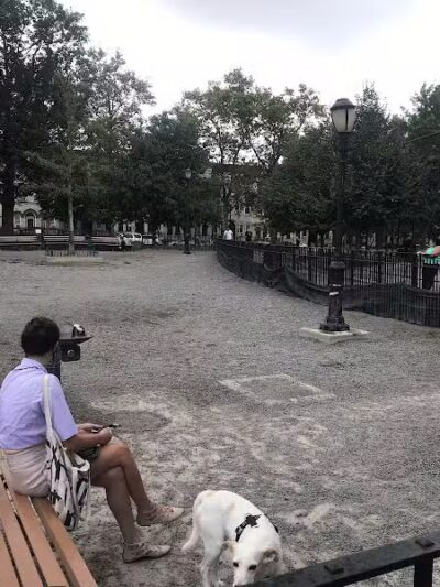 Maria Hernandez Park Dog Run - Brooklyn, NY