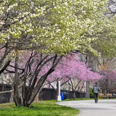 McCarren Park - Brooklyn, NY