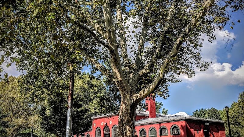 McCarren Park - Brooklyn, NY