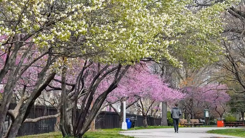 McCarren Park - Brooklyn, NY