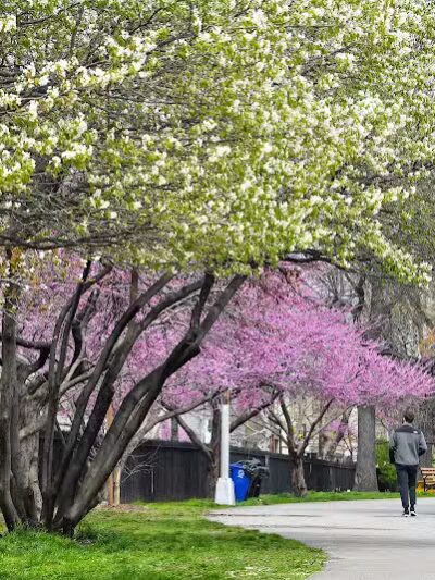 McCarren Park - Brooklyn, NY