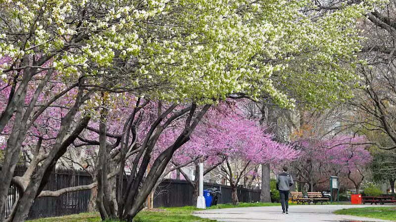McCarren Park - Brooklyn, NY