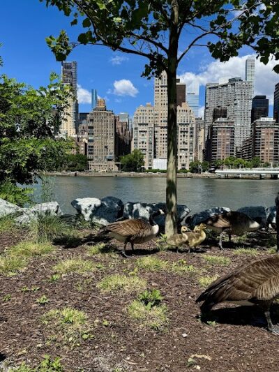 Pier 1 Playground - Brooklyn, NY
