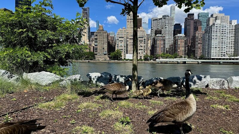 Pier 1 Playground - Brooklyn, NY