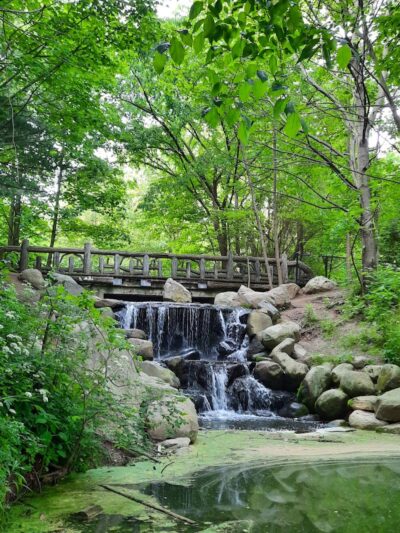 Prospect Park - Brooklyn, NY