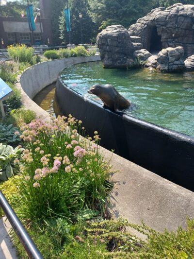 Prospect Park - Brooklyn, NY