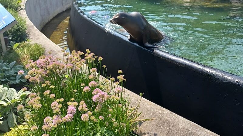 Prospect Park - Brooklyn, NY