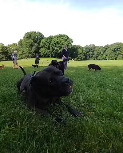 Prospect Park - Brooklyn, NY