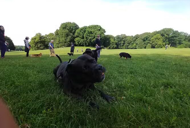 Prospect Park - Brooklyn, NY