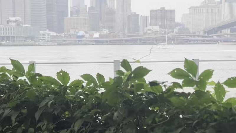 Pier 1 Playground - Brooklyn, NY