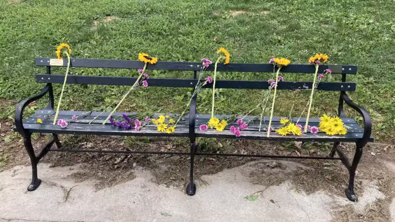 Prospect Park - Brooklyn, NY