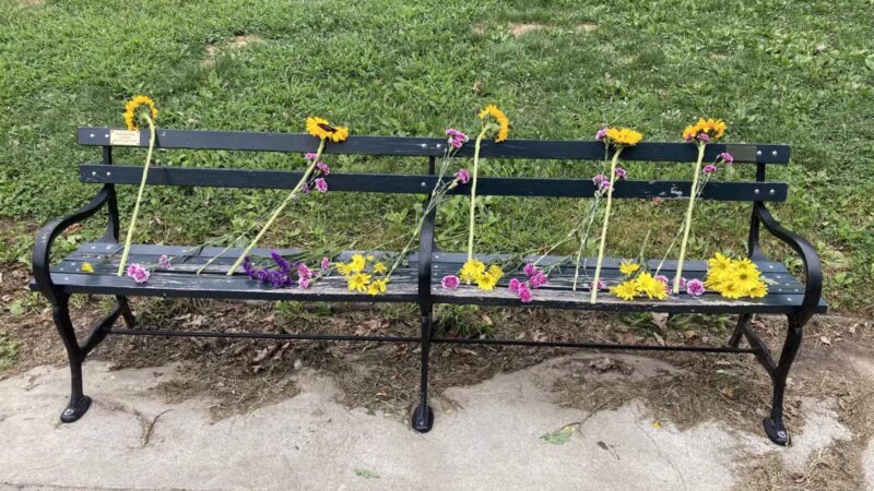 Prospect Park - Brooklyn, NY