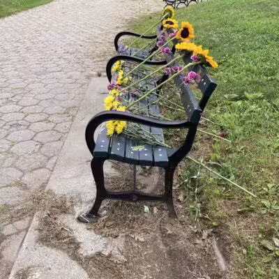 Prospect Park - Brooklyn, NY