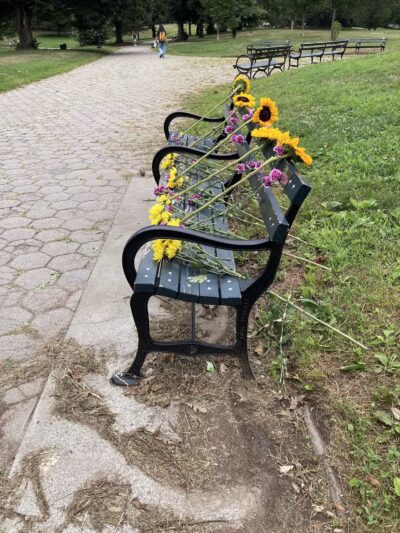 Prospect Park - Brooklyn, NY