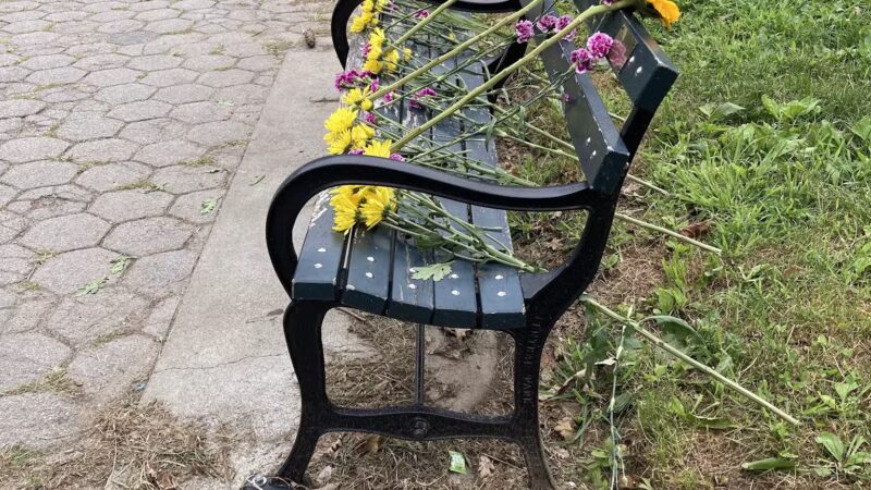 Prospect Park - Brooklyn, NY