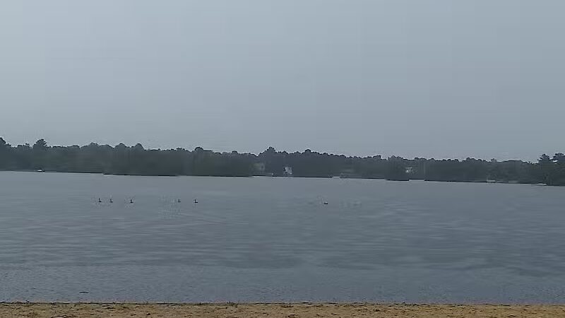 Jean Ammerman Park - Browns Mills, NJ