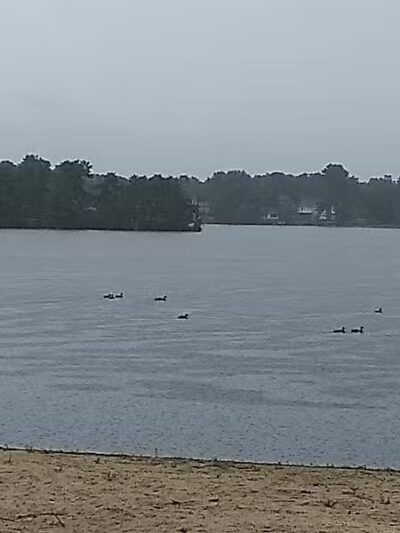 Jean Ammerman Park - Browns Mills, NJ