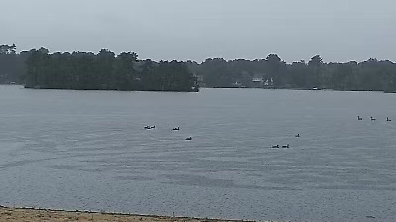 Jean Ammerman Park - Browns Mills, NJ