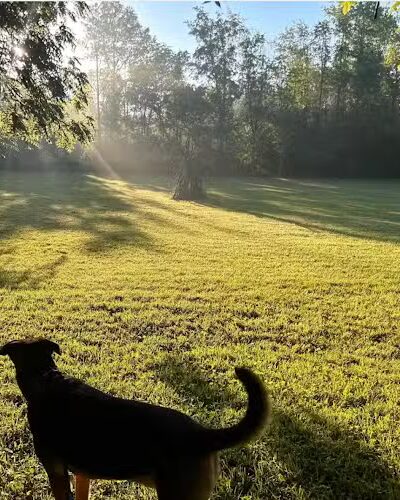 Bonny's 10 Acre Partially Fenced Private Dog Park In Brownsburg - Brownsburg, IN