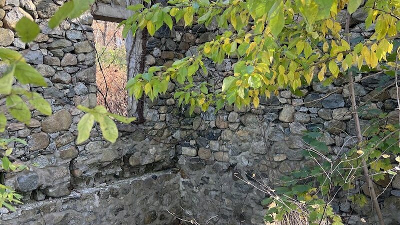 Morris Canal Greenway Trail - Budd Lake, NJ