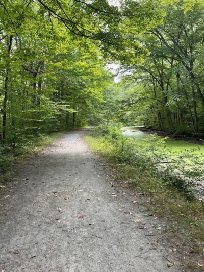 Morris Canal Greenway Trail - Budd Lake, NJ