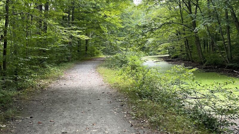 Morris Canal Greenway Trail - Budd Lake, NJ