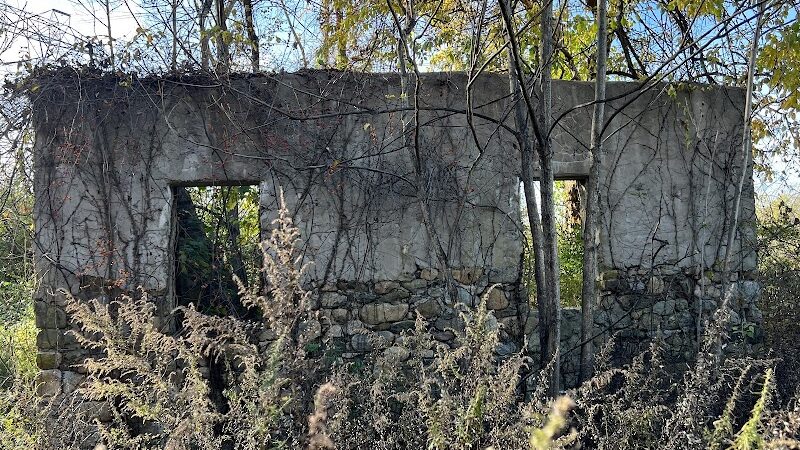 Morris Canal Greenway Trail - Budd Lake, NJ