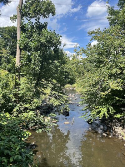 Morris Canal Greenway Trail - Budd Lake, NJ