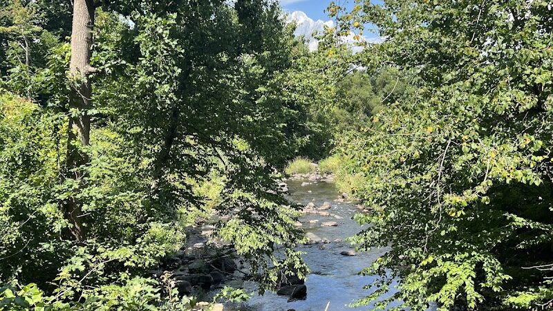 Morris Canal Greenway Trail - Budd Lake, NJ