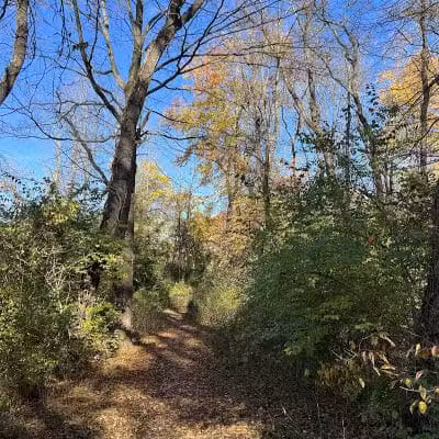 Morris Canal Greenway Trail - Budd Lake, NJ