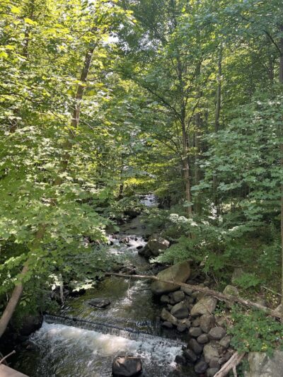 Morris Canal Greenway Trail - Budd Lake, NJ