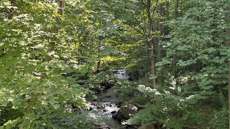 Morris Canal Greenway Trail - Budd Lake, NJ