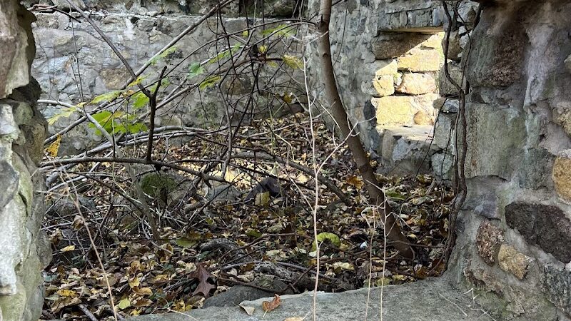 Morris Canal Greenway Trail - Budd Lake, NJ