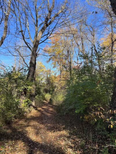 Morris Canal Greenway Trail - Budd Lake, NJ