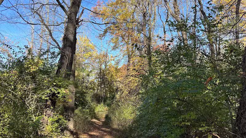 Morris Canal Greenway Trail - Budd Lake, NJ