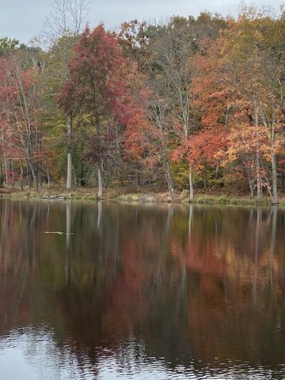 Turkey Brook Park - Budd Lake, NJ